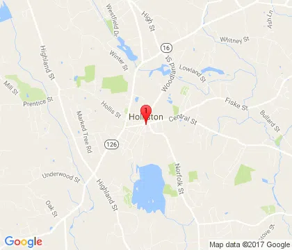 logo-image - holliston-ma